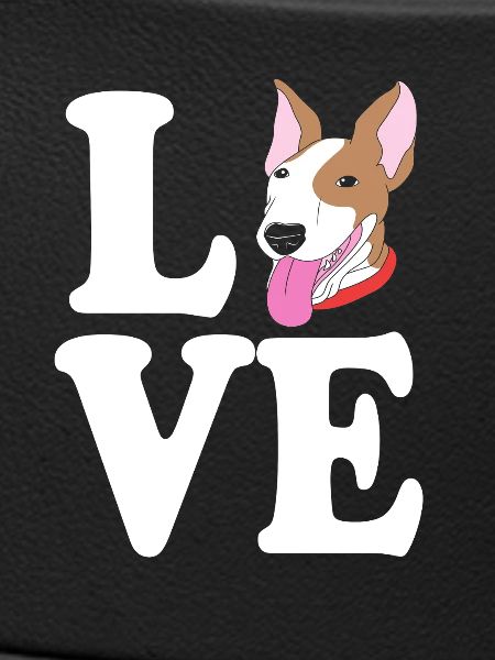 Bullterrier