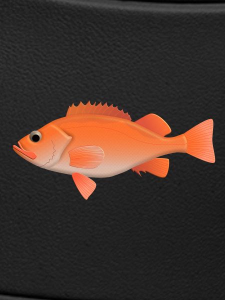 Redfish natural