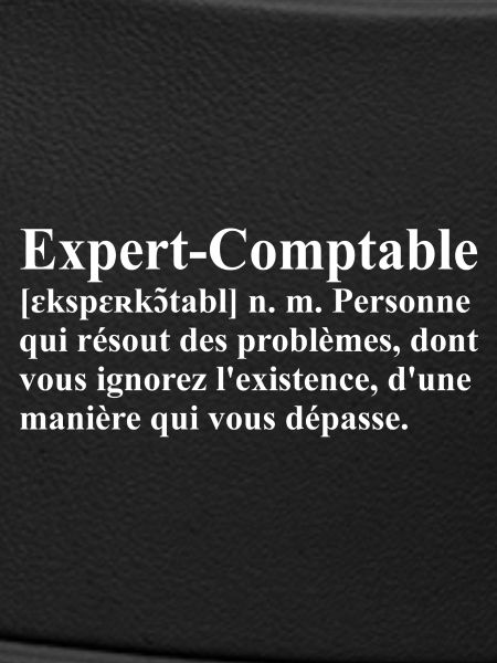 Expert-Comptable Définition