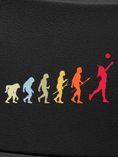 Volleyball Evolution