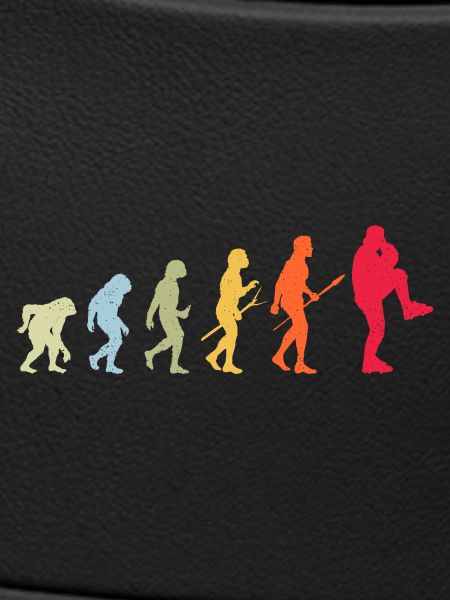 Baseball Evolution