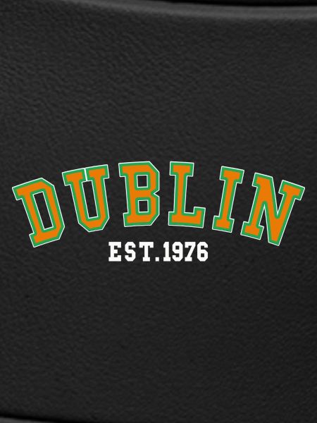 Dublin gegründet 1976