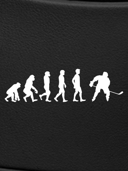 Evolution to Hockey