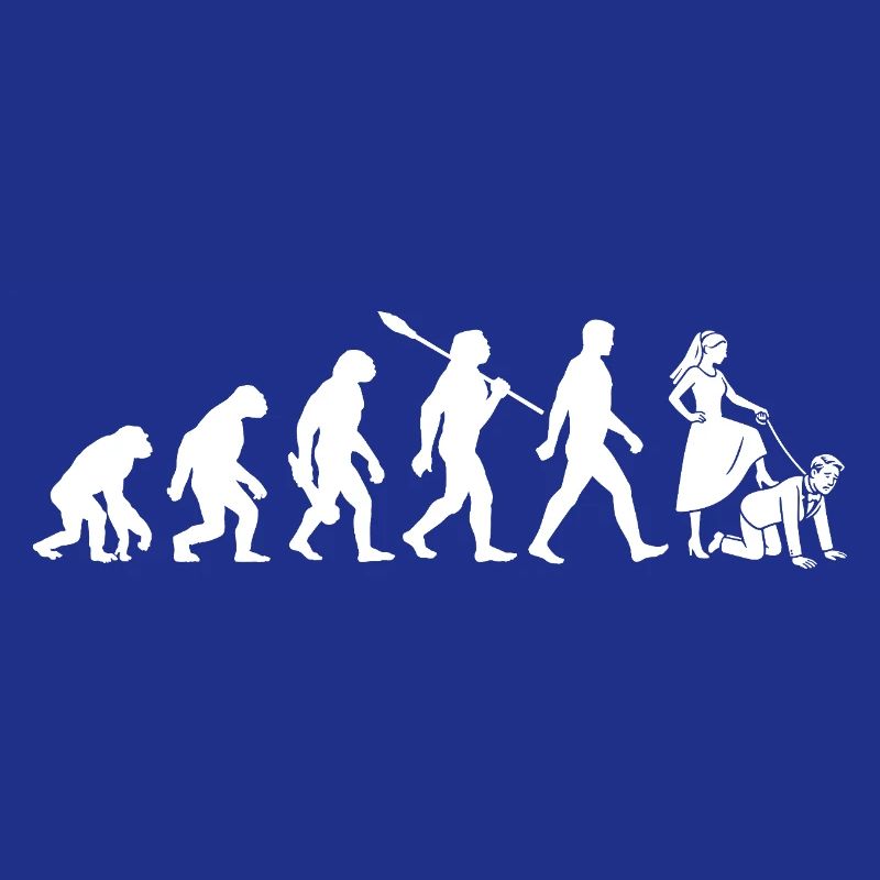 Enterrement de vie de garçon - Evolution Bachelor