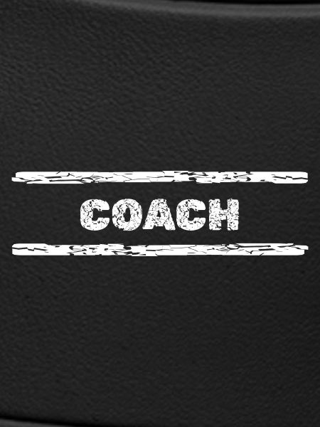 Beruf Coach