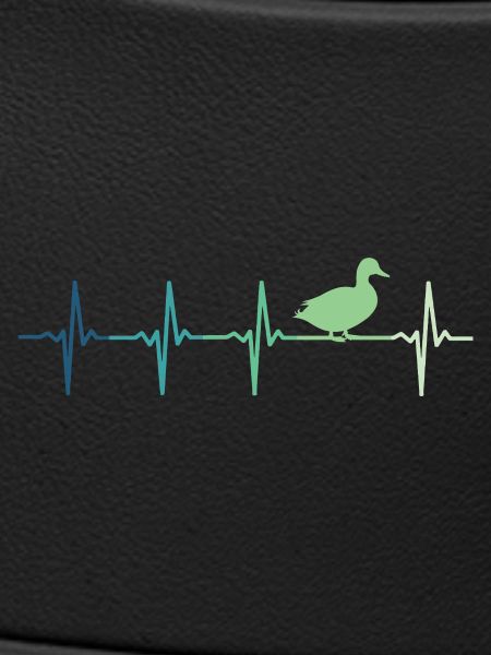 duck ducks beating