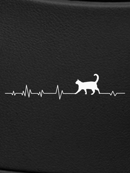 Cat Cats