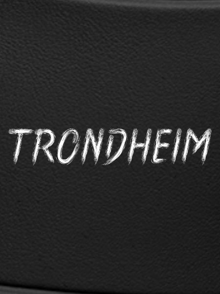 Trondheim Lettering Brush