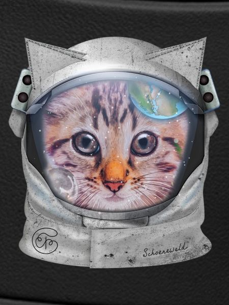 Cat in space