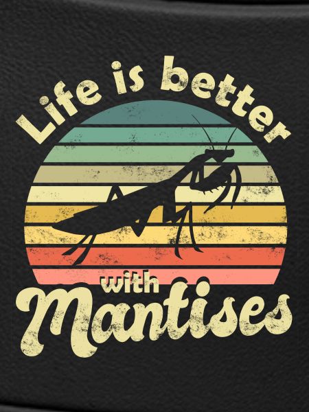 Praying mantis Mantis