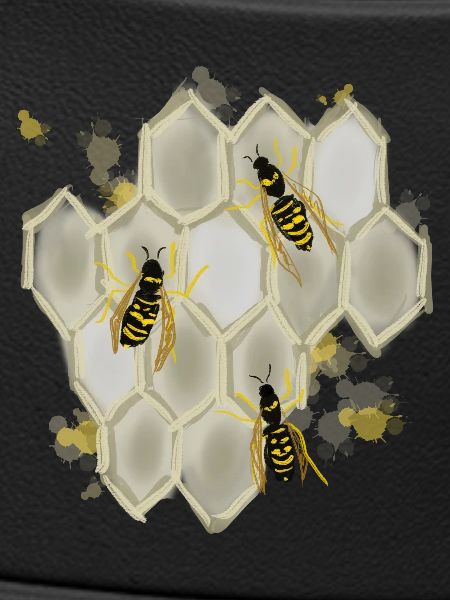 Wasps