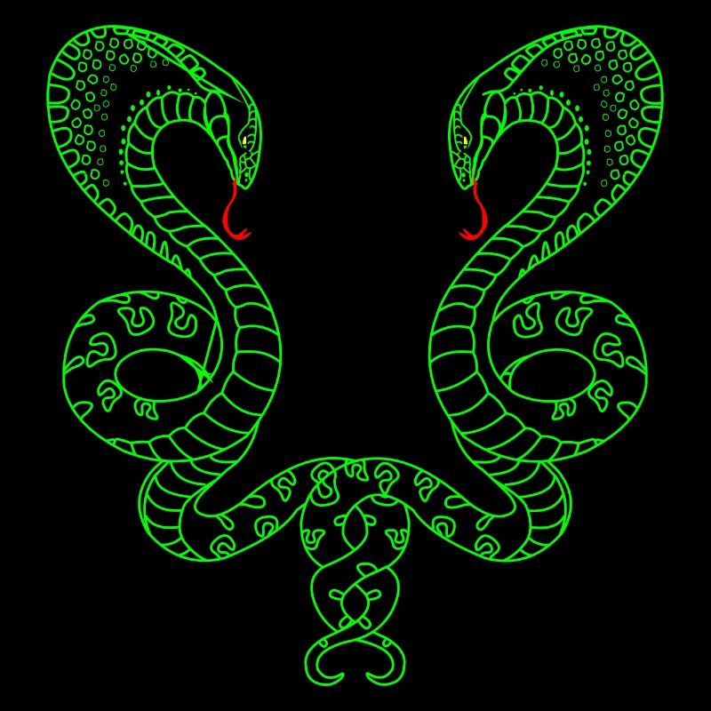 Zwei grüne Schlangen