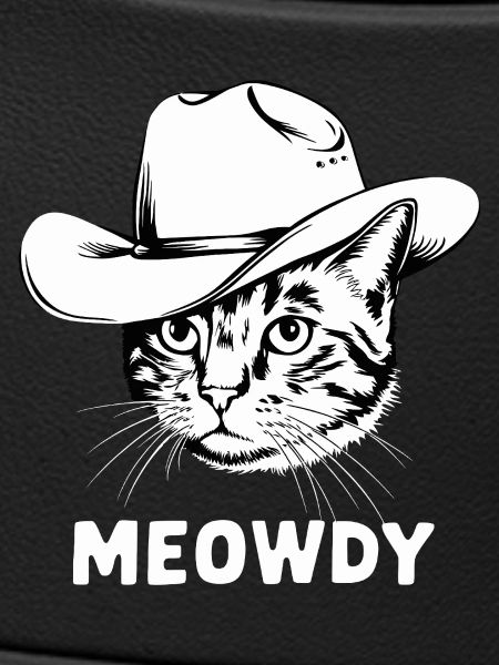 Miaou Chat
