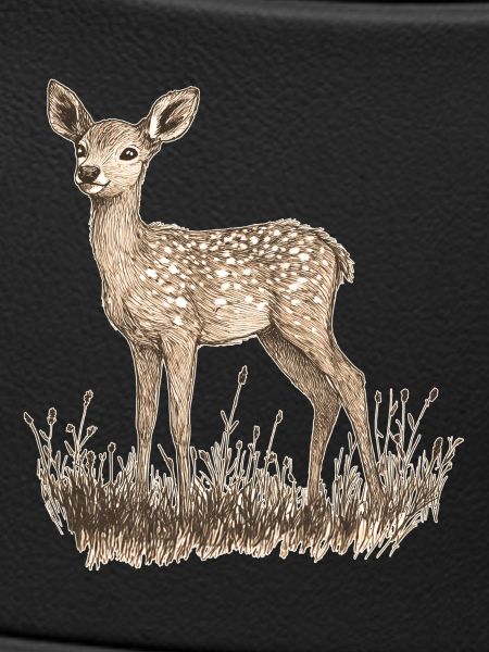 roe deer