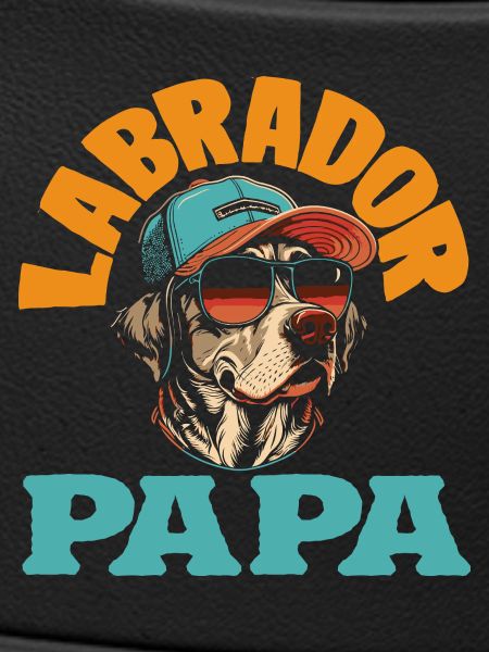 Labrador Tricks