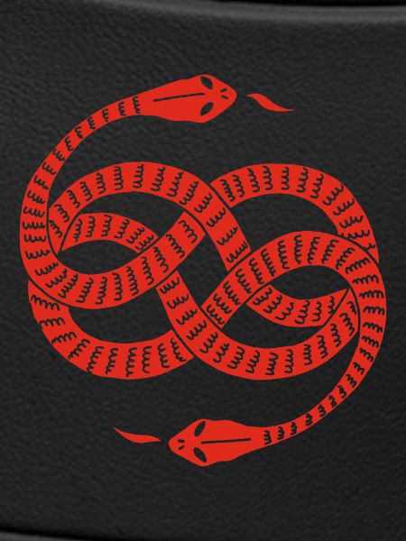 Infinite Red Snakes