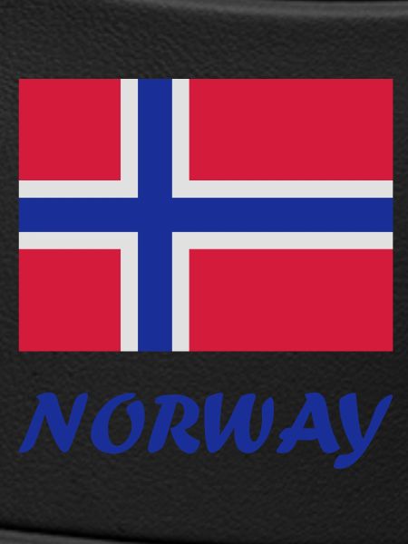 Norwegian flag
