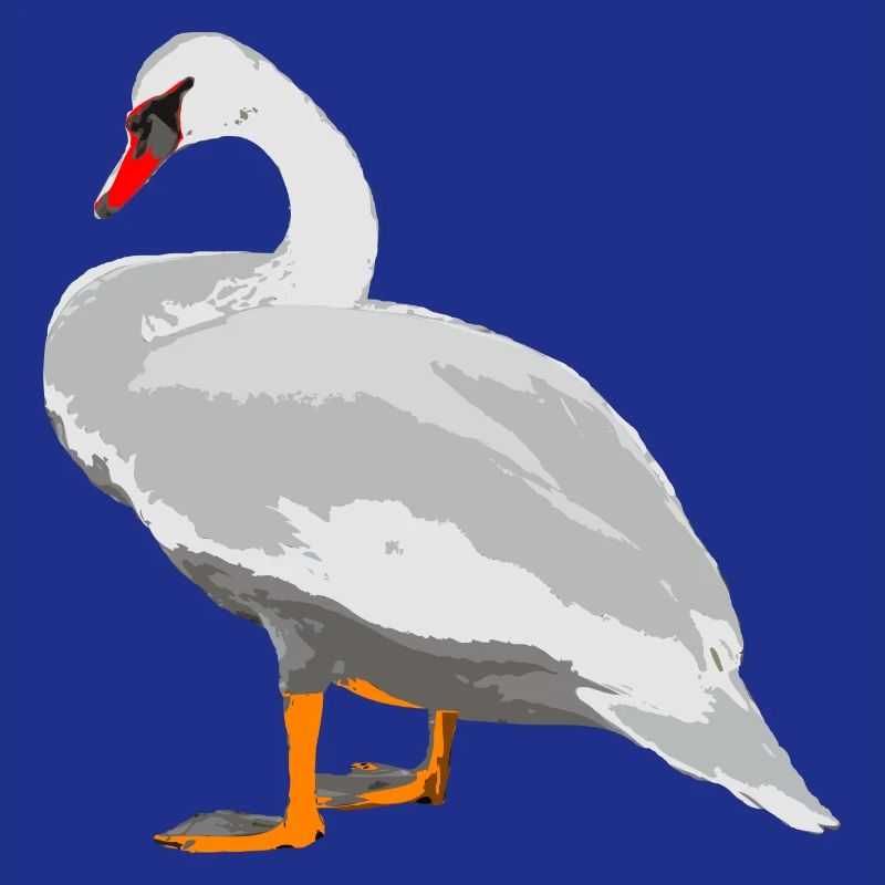 swan
