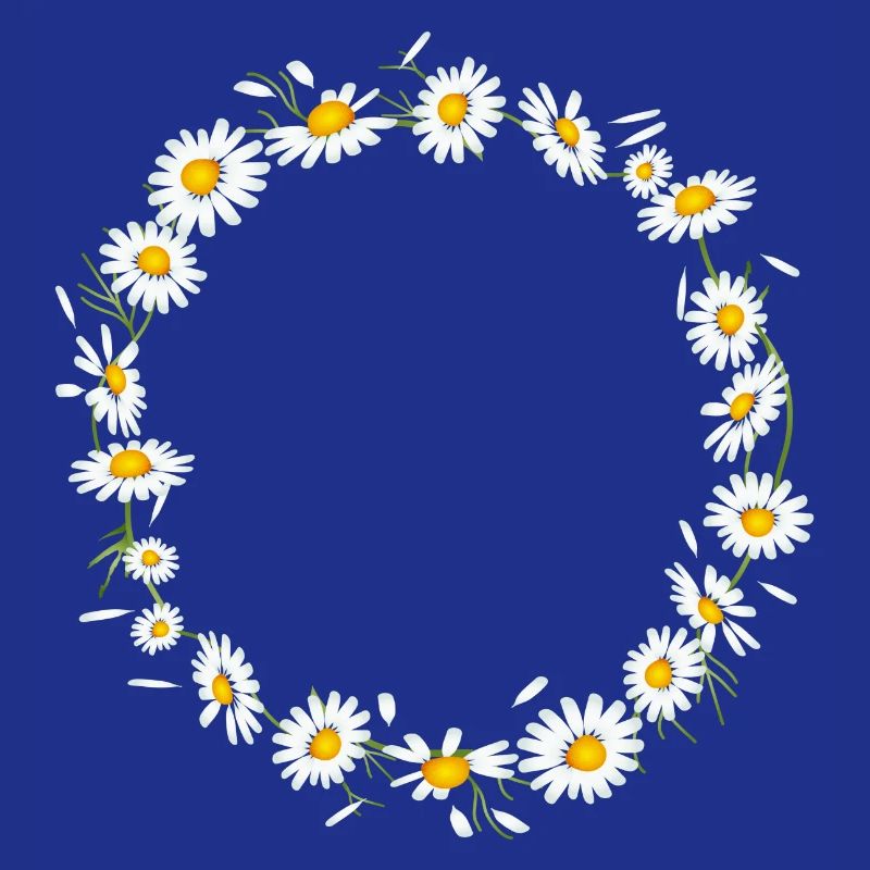 bright chamomile wreath from chamomile flowers
