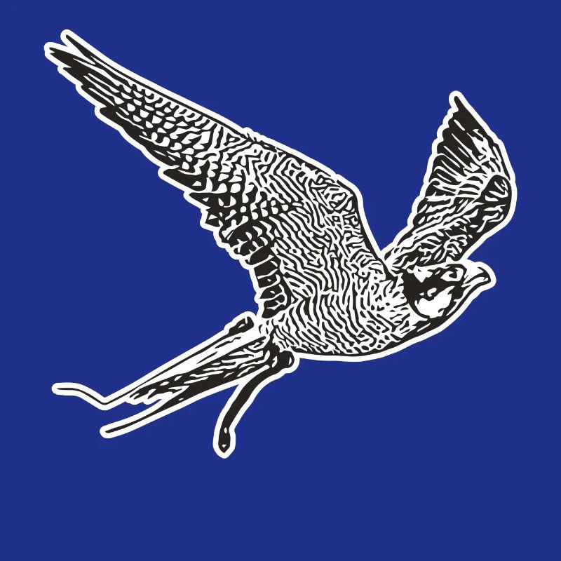 Falcon in flight