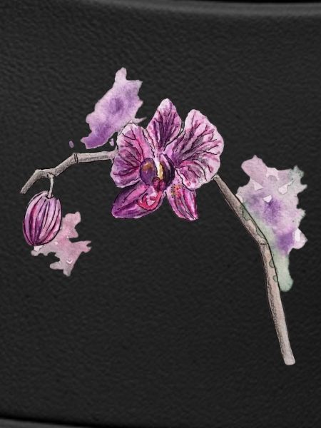 Orchidee - Pflanze - Blume