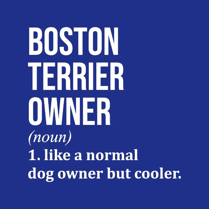 Boston Terrier