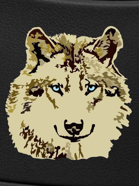 Yeux bleus brun loup
