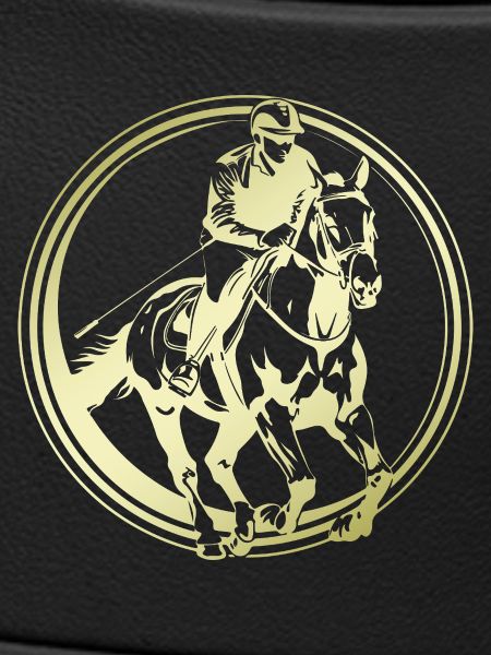 Reiten Pferd Silhouette
