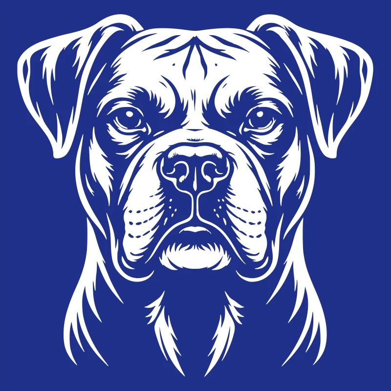 Boxer Kopf
