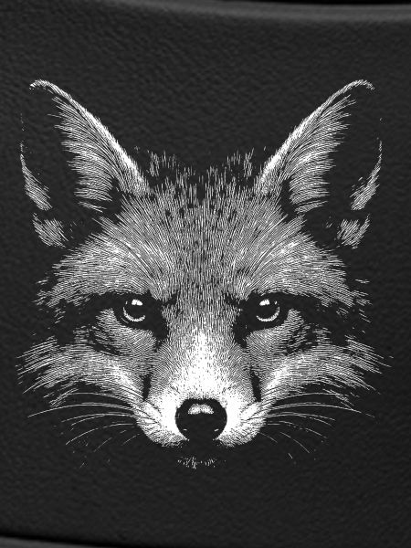 Rotfuchs