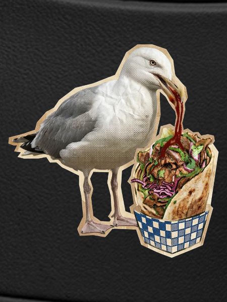 Kebab Seagull