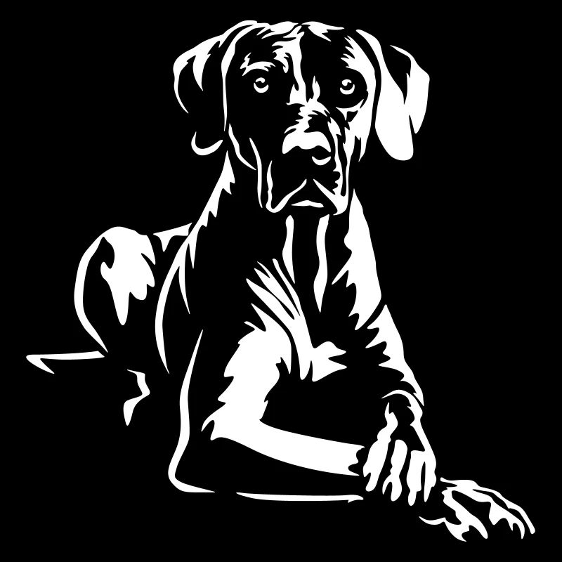 Rhodesian Ridgeback « Édition Noire »
