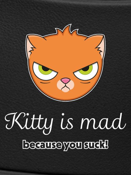 Angry Cat