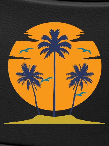 Oiseaux de Palm Beach