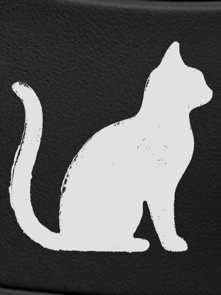 Katze