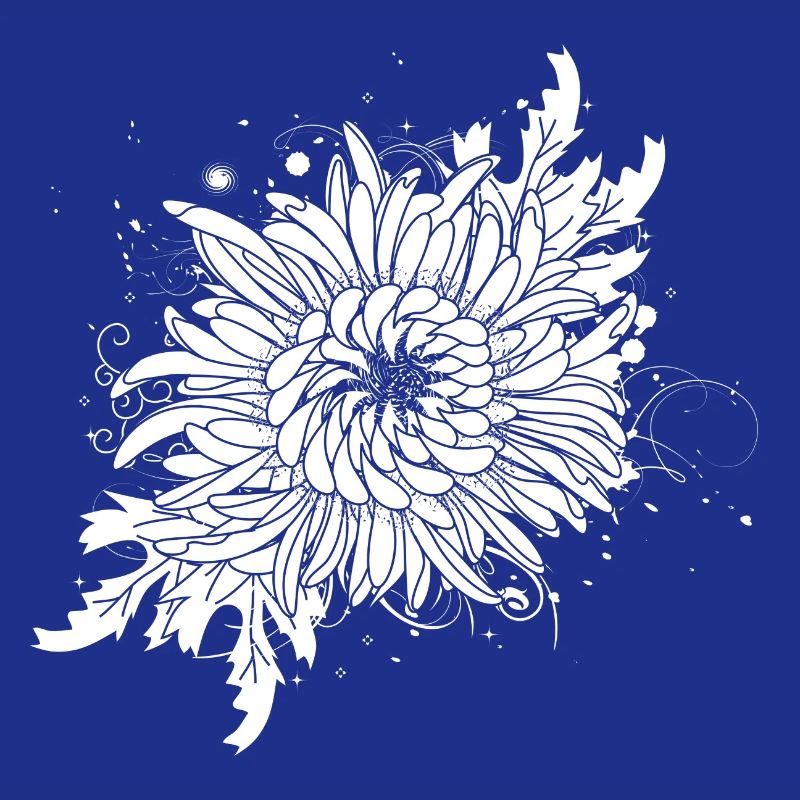 white chrysanthemum