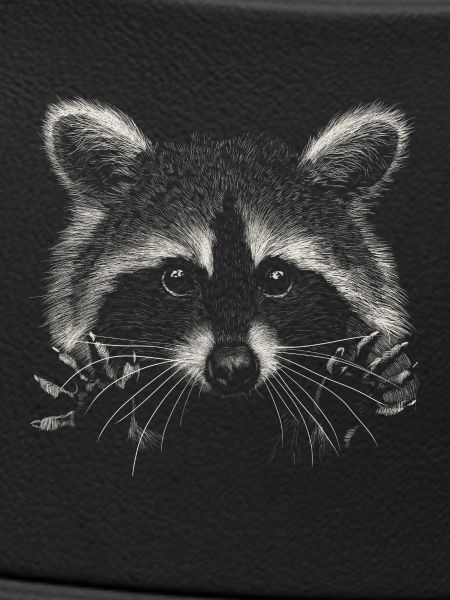 Waschbär