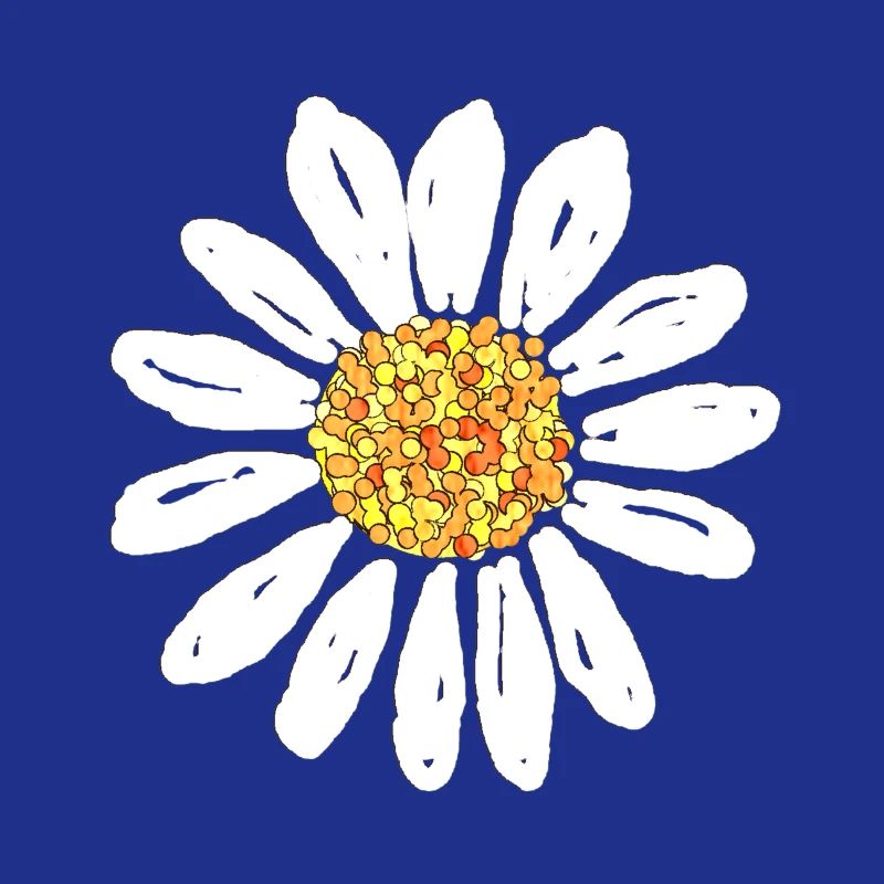 Daisy flower