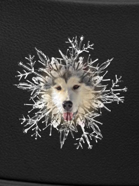 Malamute Crystal