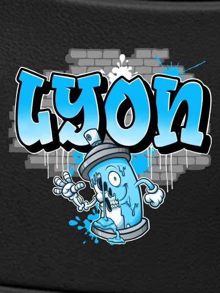 Lyon Graffiti