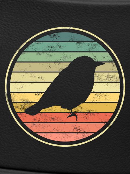 bird birds