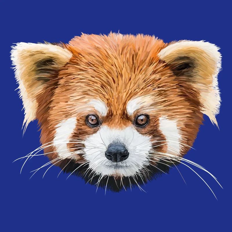Petit panda