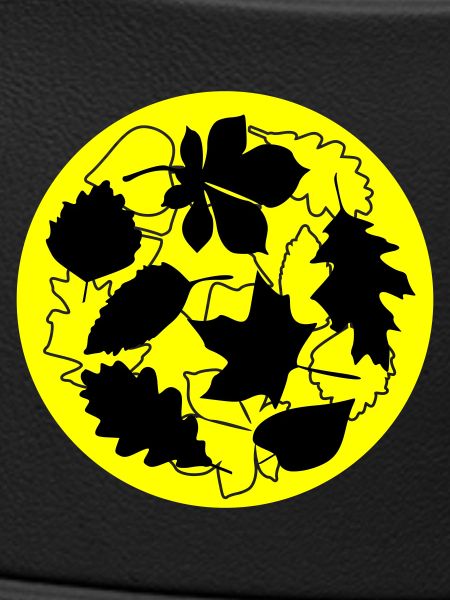 Autumn Circle Leaves