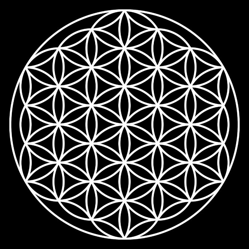 Blume des Lebens Symbol
