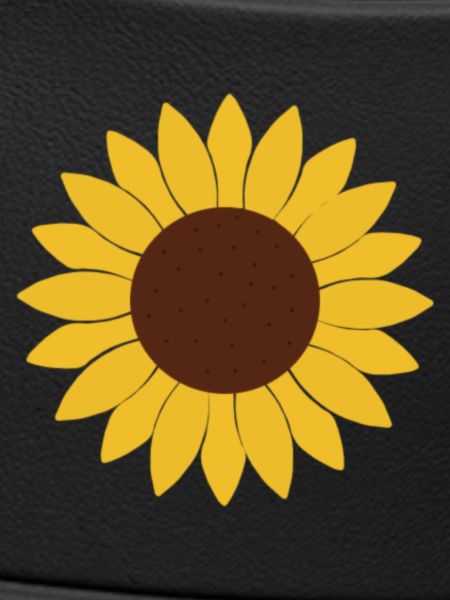 Sonnenblume