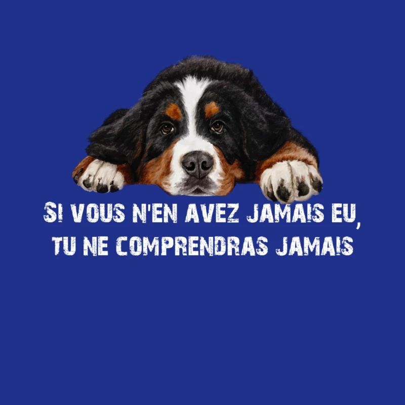 Bouvier bernois