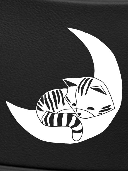 Whimsical kitten
