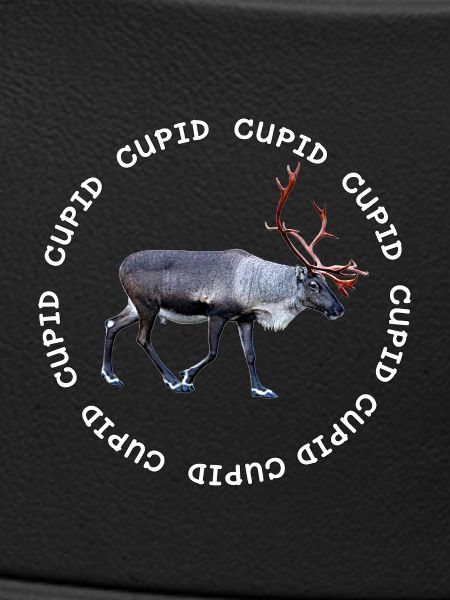 CUPID