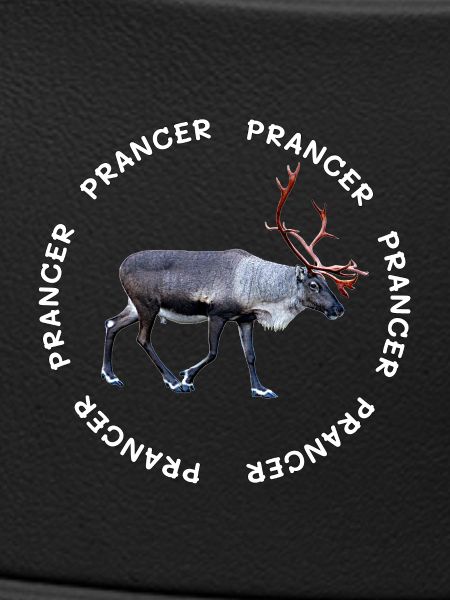 PRANCER