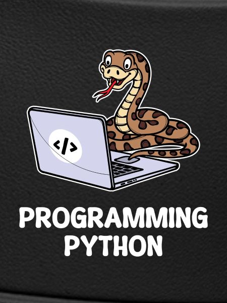 Skripting Programmierer Computer Debug Developer